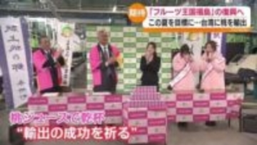 福島の桃が台湾へ！「フルーツ王国・福島」の復興へさらなる一歩