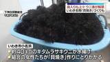 「ウニ漁解禁　名物の「貝焼き」づくりも　福島・いわき」の画像1