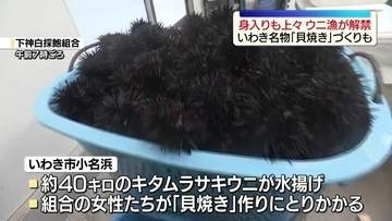 ウニ漁解禁　名物の「貝焼き」づくりも　福島・いわき