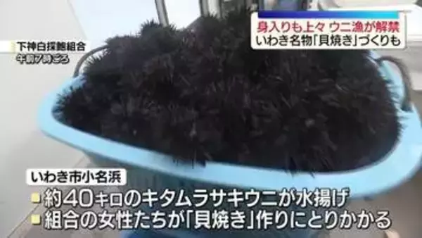 ウニ漁解禁　名物の「貝焼き」づくりも　福島・いわき
