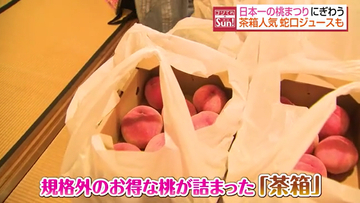 スイーツにジュース！特産の桃を味わい尽くす「日本一の桃まつり」福島市の飯坂温泉で開催