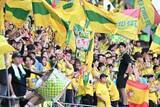 「35年前のデザイン復刻…黄×緑の伝統ユニフォーム　専門家が注目した「シマウマ柄」」の画像1