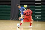 「秋田のフットサル大会でクマ出没　地元選手が対処法を助言「目を合わせながら逃げれば大丈夫」」の画像1