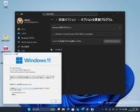 「29500」シリーズのWindows 11がCanaryチャネルに初登場 ～OS内部の仕様変更などをテスト／適用は任意のオプション更新プログラムとして提供