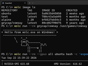 「WSL 3.0」がリリース、3カ月のテストを経て「WSL containers」が正式版に／「Docker」なしでLinuxコンテナーを構築・実行、「wslc compose」の開発にも着手