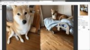 見開き表示が可能なタブ切り換え型画像ビューワー「PicSum」v17.1.0　ほか【ダイジェストニュース】