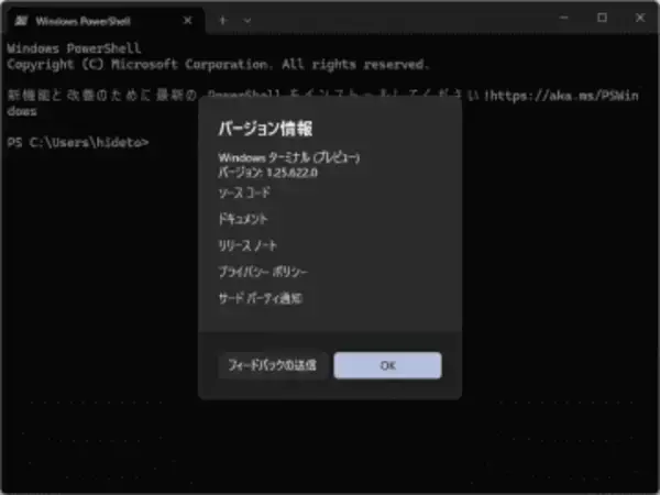 「Windows Terminal Preview」が四半期リリースに復帰、設定の検索やキーのGUI編集に対応／正式版v1.24はコマンドパレットが改善、英語キーワードでもコマンドがマッチ