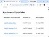 「macOSの「画面共有」に認証バイパスの脆弱性、Appleがセキュリティアップデートを実施／すべてのユーザーに適用を推奨」の画像1
