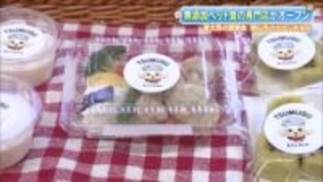 愛犬の健康願って　無添加ペットフードの専門店がオープン　仕出し弁当店が手がける新拠点　福島・郡山市