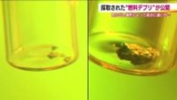 燃料デブリを公開　東京電力・福島第一原発から2回にわたり採取　場所により違いも