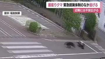 4人を襲い工場に居座った福島市のクマ　深夜に門を飛び越え逃走　麻酔薬が注入されなかったか　警戒続く