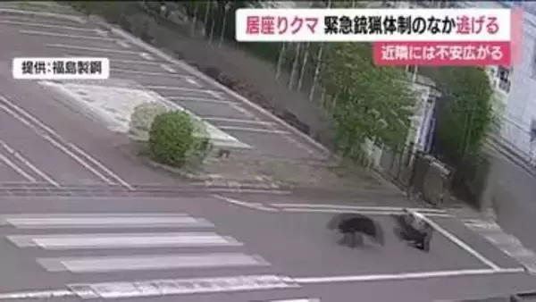 4人を襲い工場に居座った福島市のクマ　深夜に門を飛び越え逃走　麻酔薬が注入されなかったか　警戒続く
