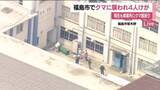 「福島市で従業員や住民4人が熊に襲われケガ　事業所にクマ居座る　近くの小中学校は臨時休校　警戒続く」の画像1