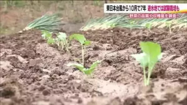 大雨被害を軽減する“遊水地”　阿武隈川上流の予定地で農作物の試験栽培…東日本台風の教訓