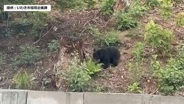 いわき市でクマ目撃　現場付近の市立小中学校は臨時休校に＜福島県＞