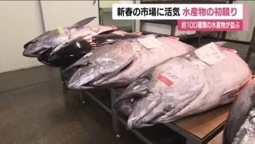 新春の市場に活気　福島市で水産物の初競り　本マグロなど約100種類が競り落とされる