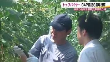 福島県産品の流通促進へ　バイヤーが伊達市のGAP認証農場を視察　9月から首都圏の店舗で専用売り場設置