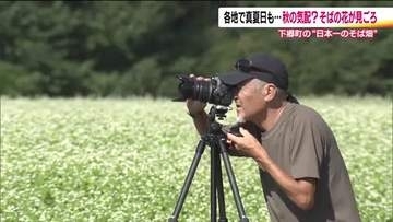 広がる白いじゅうたん　「日本一のそば畑」猿楽台地のソバの花が見ごろ　秋の気配に　福島・下郷町