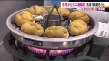 いわき市で5月からウニ漁解禁　加工施設では郷土料理「貝焼き」作り　6月以降に最盛期迎える