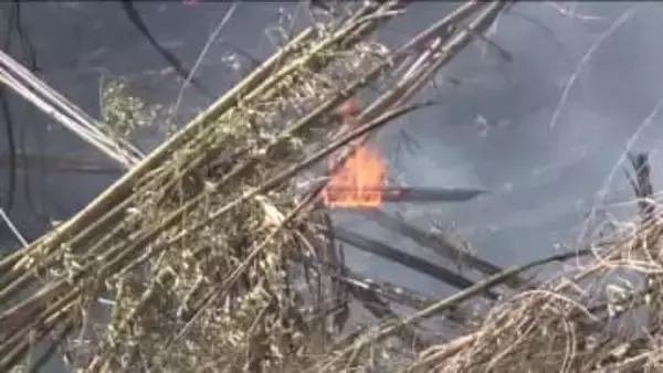 空気が乾燥　林野火災に注意！　運用始まった「林野火災注意報・警報」　早期の予防につなげる