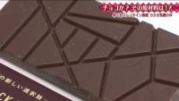 カカオじゃなくてヒマワリの種…本当にチョコの味！？　原材料高騰で新商品　バレンタインでも注目