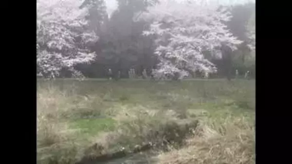 「すぐ近くには学校も…　郡山市街地でクマ出没　今後緊急猟銃の可能性も」の画像