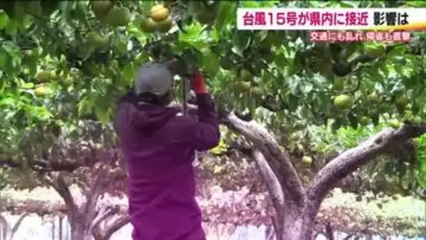 【台風15号】福島県への最接近を前に備え　お盆帰省中の台風で予定変更を余儀なくされた人も