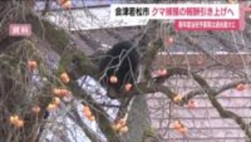 クマなど捕獲報酬を最大3000円引き上げへ　福島・会津若松市の当初予算案　第2子以降の保育料無償化も