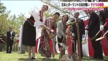 日本とポーランドの友好を願ってサクラを植樹　副領事「桜のイメージは平和」　福島・猪苗代町
