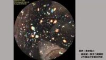 「予想を裏付ける結果」2号機圧力容器初の内部調査　画像と線量を公開＜福島第一原発＞