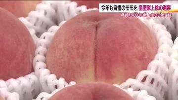 福島・桑折町で「献上桃」の選果作業　最高品質のモモ210個が箱詰め　33年連続で皇室と宮家へ