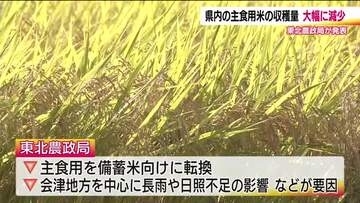 今年のコメの予想収穫量　福島県は去年より3万トン余り減少見込み　備蓄米への転換や長雨などの影響