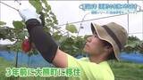 「【自由研究】人口増加率は全国1位　福島・大熊町　若い世代が移住しキウイ栽培　浜通りのいま」の画像1