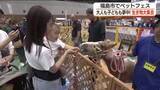 「100種類の生き物大集合！　“ペットフェス”開催＜福島県福島市＞」の画像1