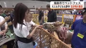 100種類の生き物大集合！　“ペットフェス”開催＜福島県福島市＞
