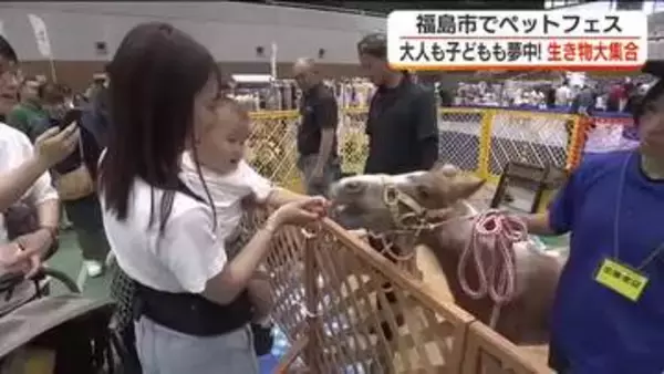 100種類の生き物大集合！　“ペットフェス”開催＜福島県福島市＞