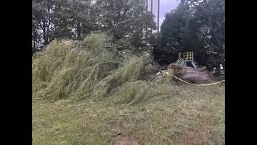 【台風１５号】いわき市の公園で倒木　強風の影響か　けが人なし＜福島県いわき市＞