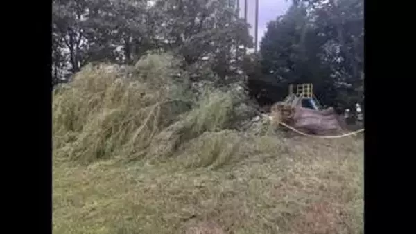 【台風１５号】いわき市の公園で倒木　強風の影響か　けが人なし＜福島県いわき市＞