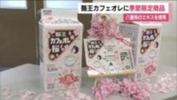 誕生50周年「酪王カフェオレ」に新商品　桜のフレーバーを加えた季節限定　2月23日から福島県内で販売