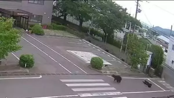 防犯カメラには人を襲う姿も　クマに襲われ4人がケガ　福島駅から約3キロ　夜間の緊急銃猟も検討