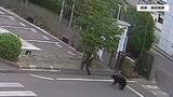 「【速報】4人を襲い居座ったクマ　緊急銃猟体制の中で現場から逃げる＜福島県福島市＞」の画像1