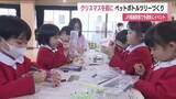 「クリスマス前に　子供たちがペットボトルツリーづくり　JR福島駅東口で19日と20日にイベント　福島」の画像1