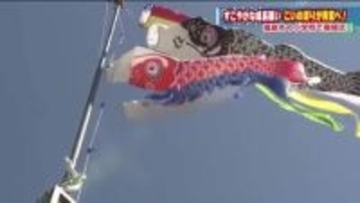 端午の節句を前に　福島市の小学生がこいのぼりを掲揚　青く晴れ渡った空に　健やかな成長願い