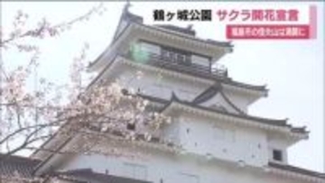 会津若松市・鶴ヶ城公園の桜が開花　去年より10日早く　福島市・信夫山公園では満開の便り