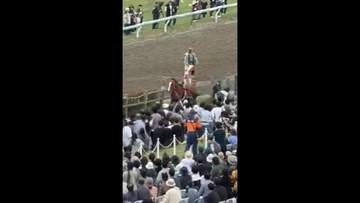 馬と人が衝突　4人がケガ　相馬野馬追で甲冑競馬中に放馬＜福島県・南相馬市＞