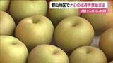 「早くも秋の味覚を出荷　福島・郡山市の特産品『梨』　甘さもみずみずしさも十分　10月にかけ様々な品種」の画像1