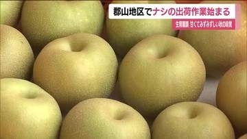 早くも秋の味覚を出荷　福島・郡山市の特産品『梨』　甘さもみずみずしさも十分　10月にかけ様々な品種
