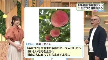 実は福島県民が愛する桃「あかつき」は幻になりかけていた！？主力品種になるまでの誕生秘話