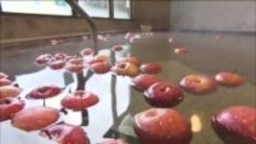 「大寒」の日限定　りんご風呂でポカポカ　わけあり「サンふじ」で心も体もあったまる　福島・大玉村