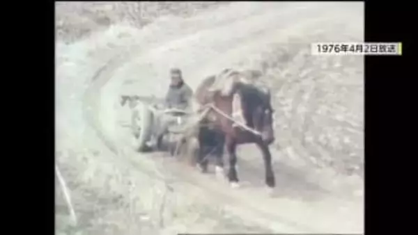 木材運搬にウマが活躍　福島・古殿町に残る「馬搬」　消えかけた文化を後世に伝える男性　新たな相棒「トヨシゲ」を迎え次なる一歩へ